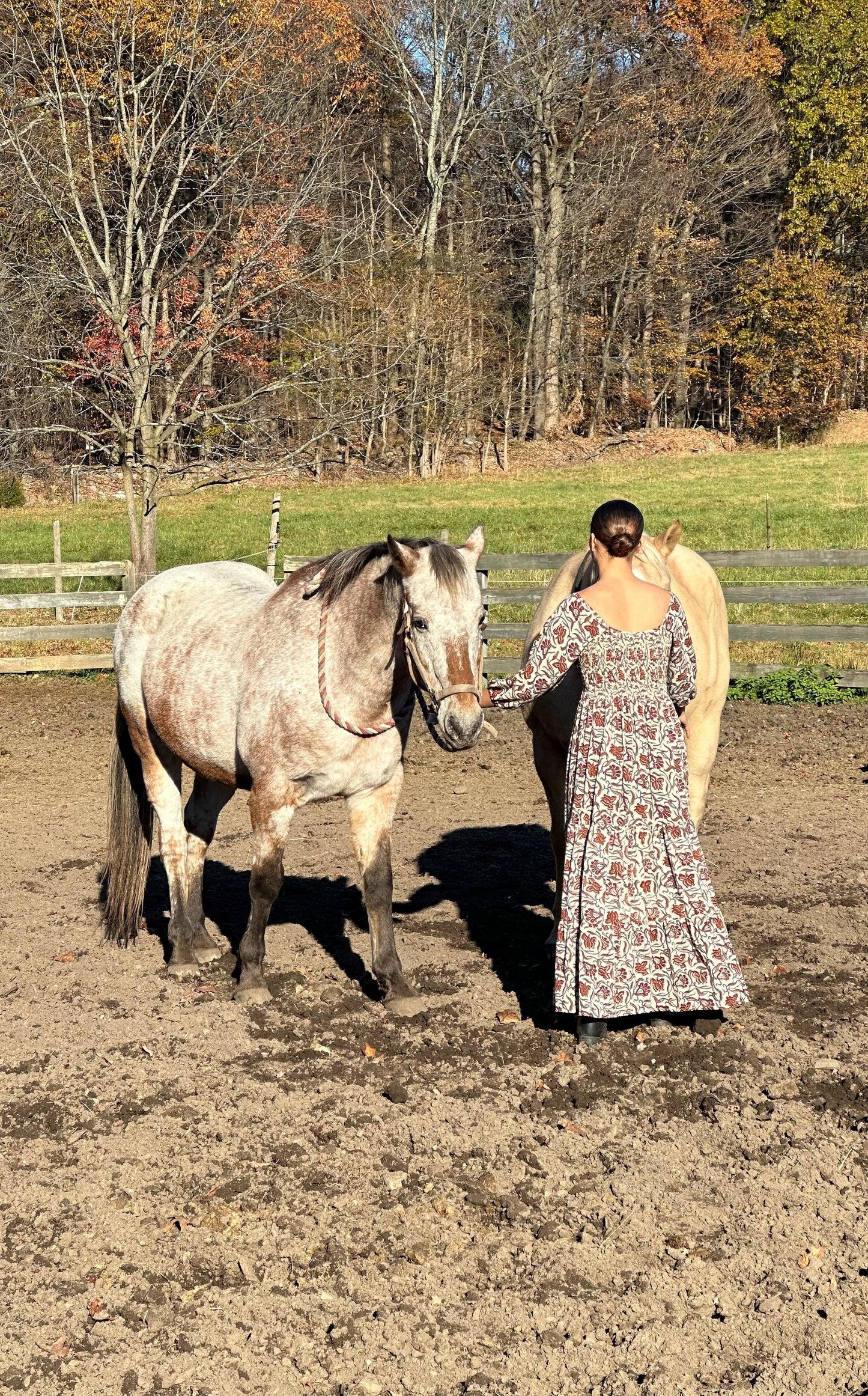 Small Batch Thistle Gown/Jewel Garden Block